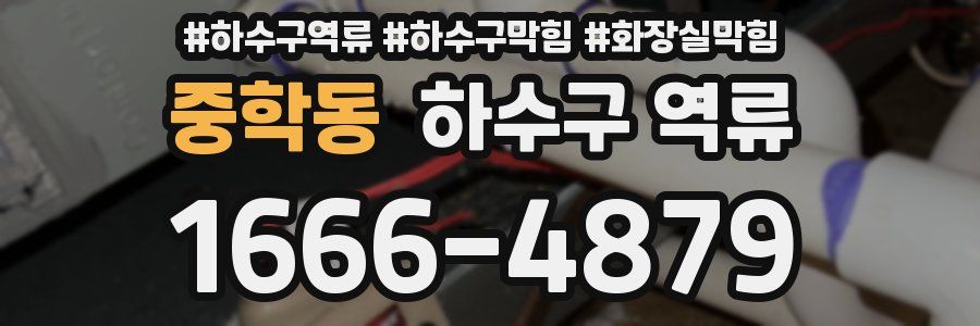 중학동 하수구 역류