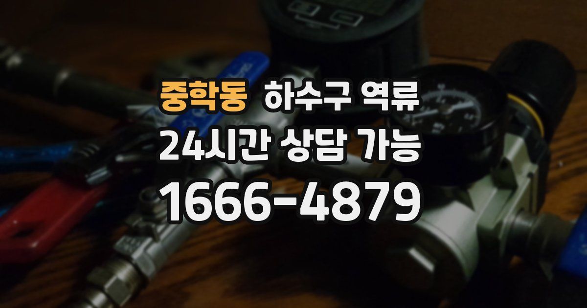 중학동 하수구 역류