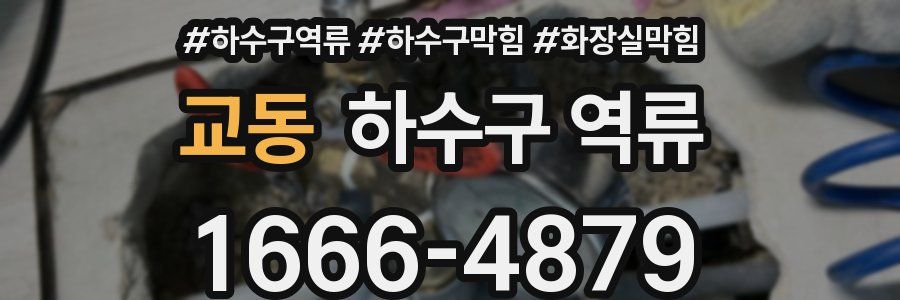 교동 하수구 역류