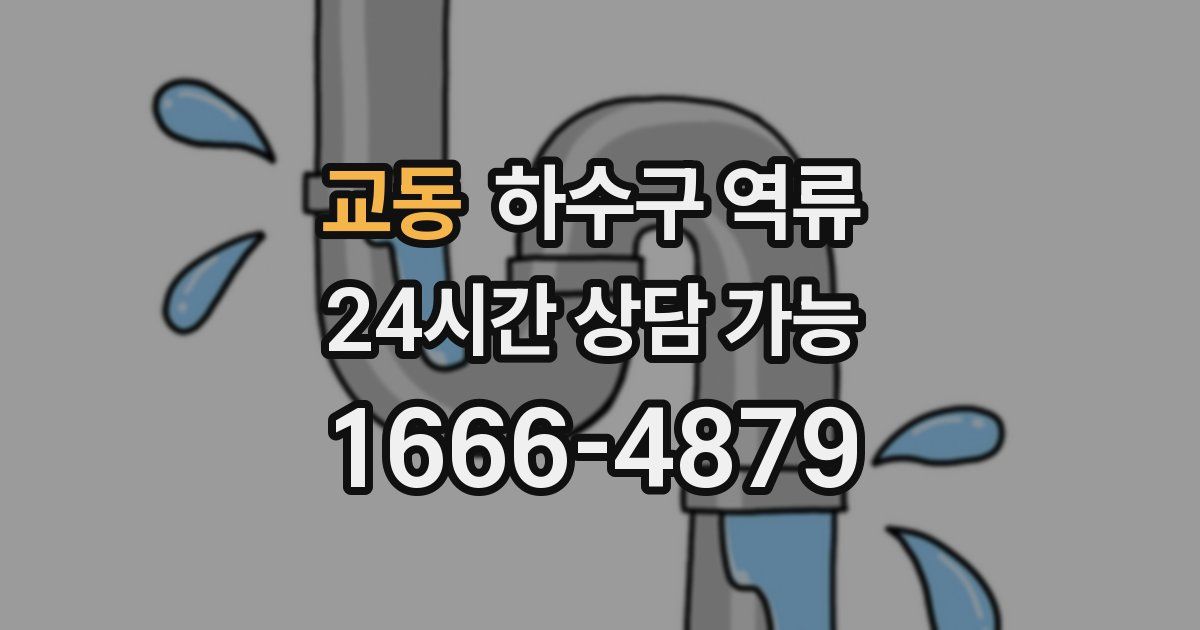 교동 하수구 역류