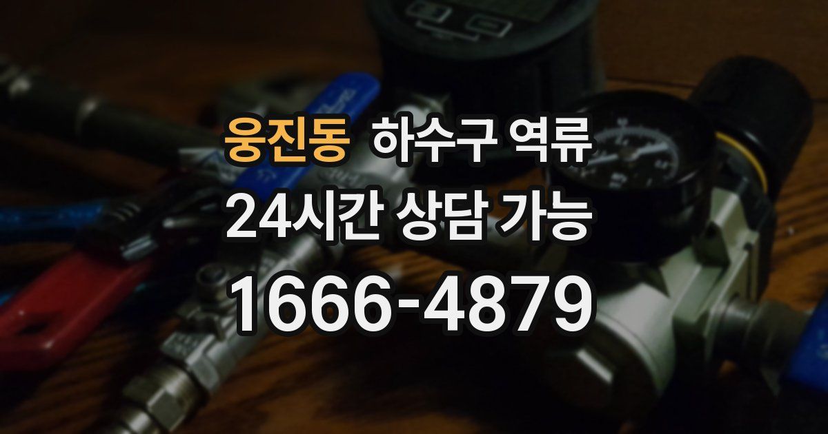 웅진동 하수구 역류