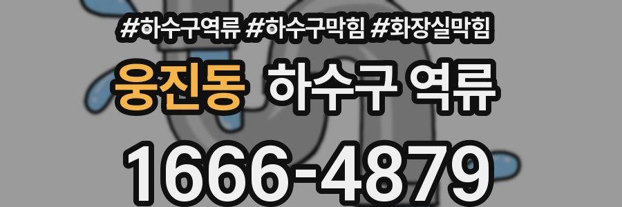 웅진동 하수구 역류