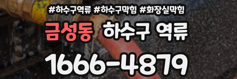 금성동 하수구 역류