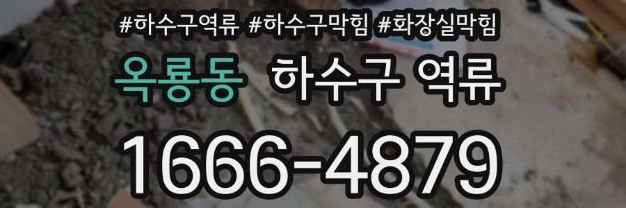 옥룡동 하수구 역류