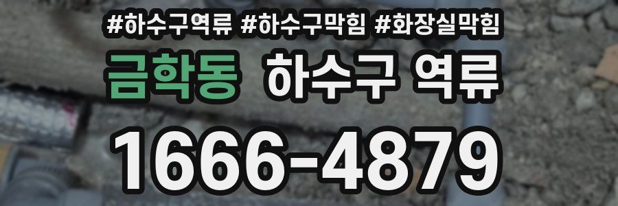 금학동 하수구 역류