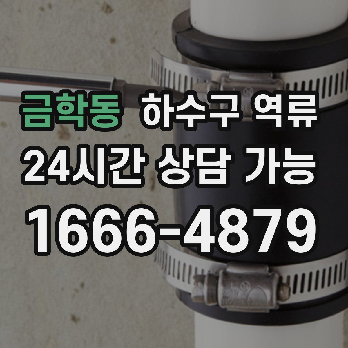 금학동 하수구 역류