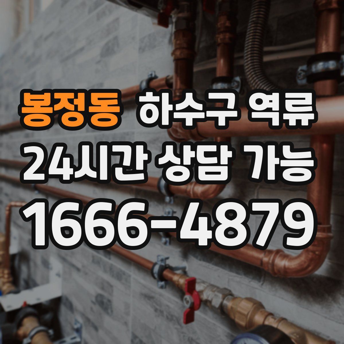 봉정동 하수구 역류