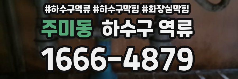 주미동 하수구 역류