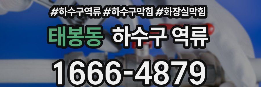태봉동 하수구 역류