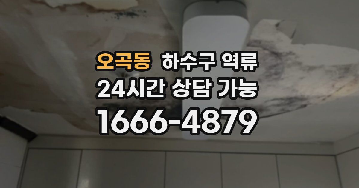 오곡동 하수구 역류