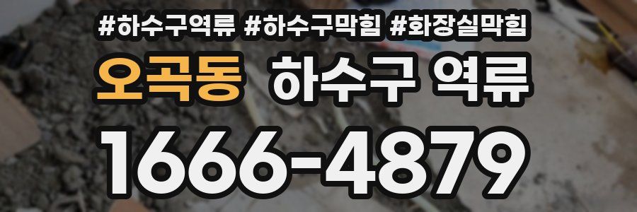 오곡동 하수구 역류