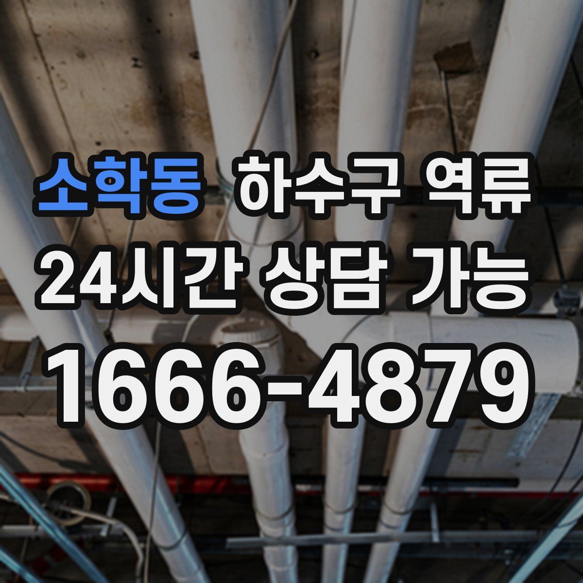 소학동 하수구 역류