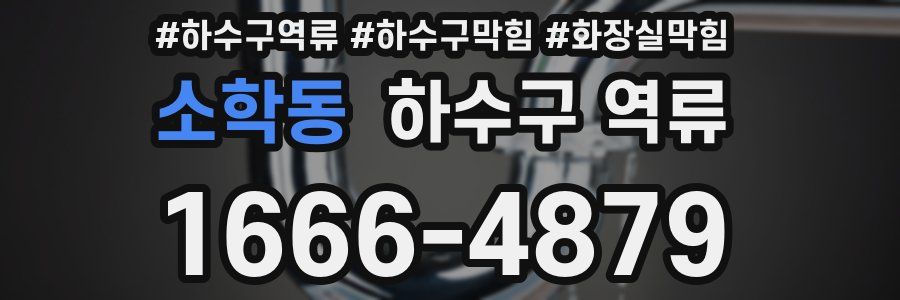 소학동 하수구 역류