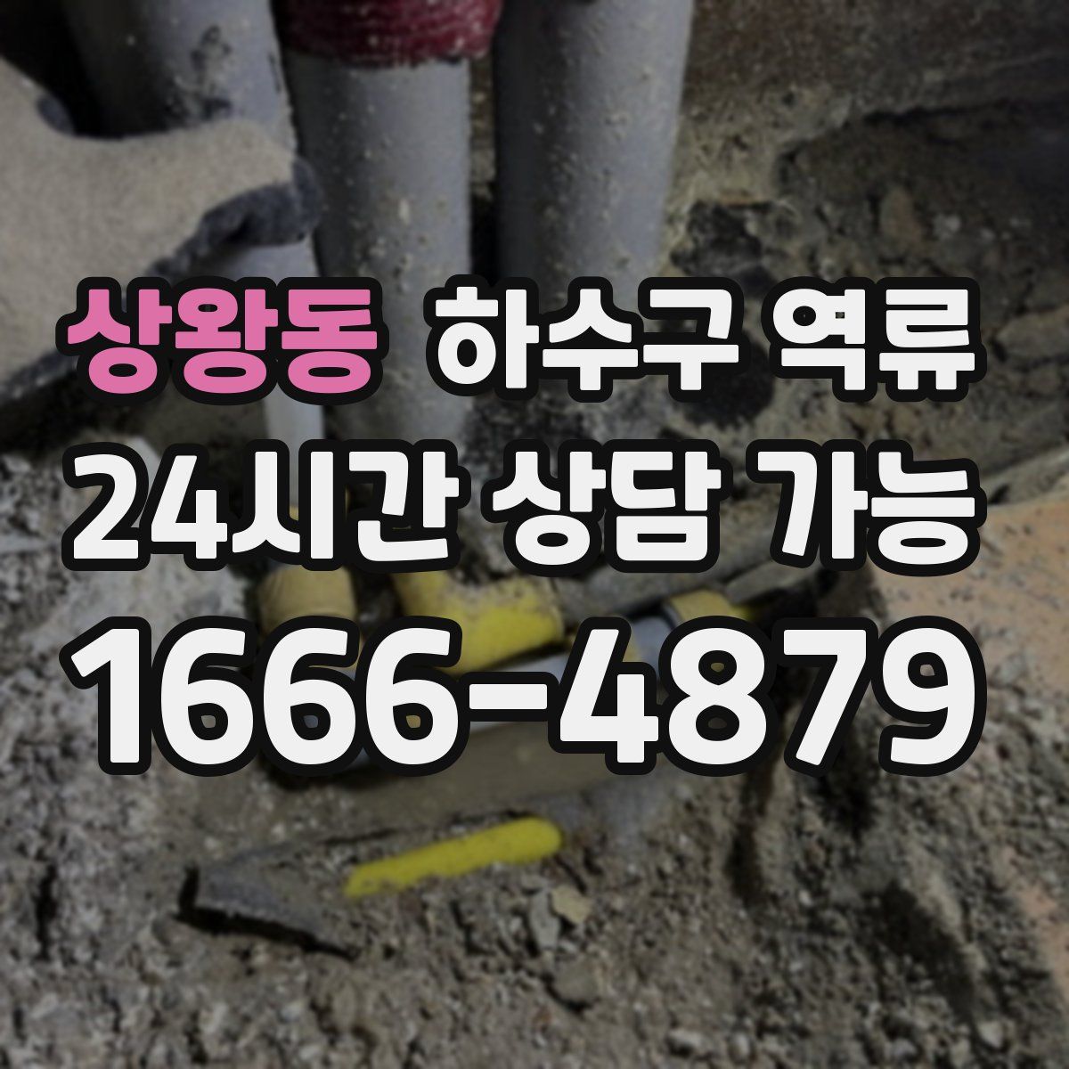 상왕동 하수구 역류