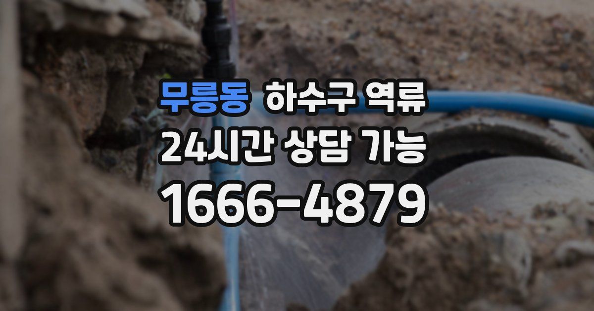 무릉동 하수구 역류