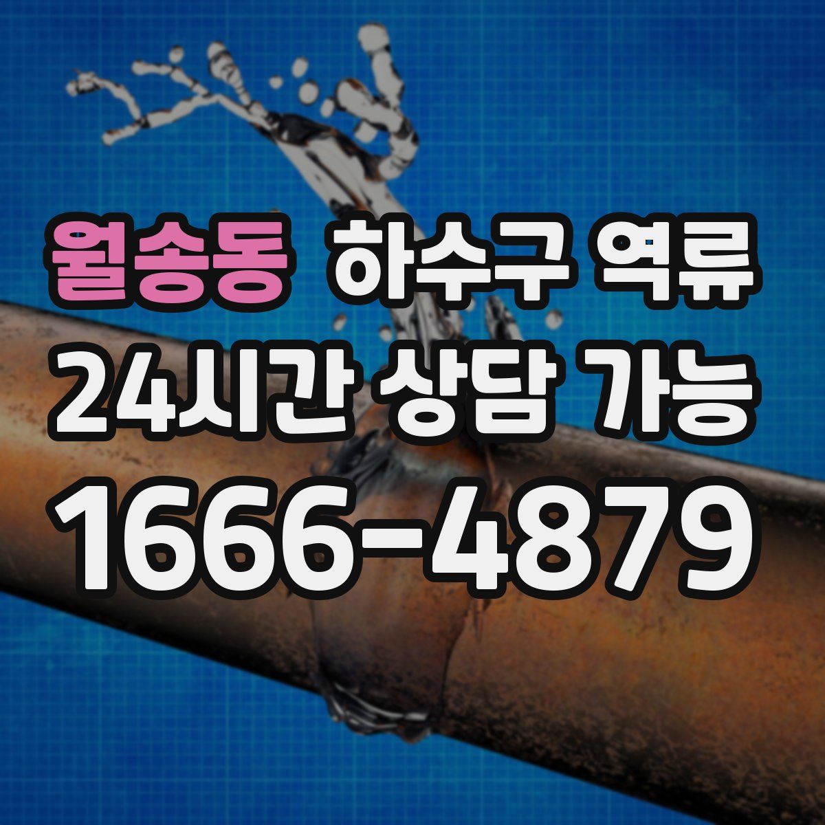 월송동 하수구 역류