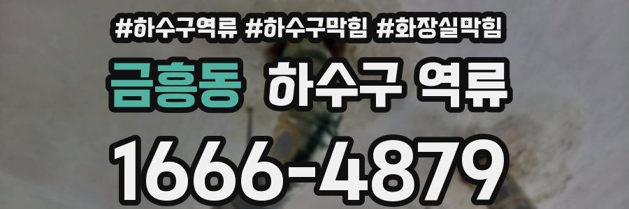 금흥동 하수구 역류