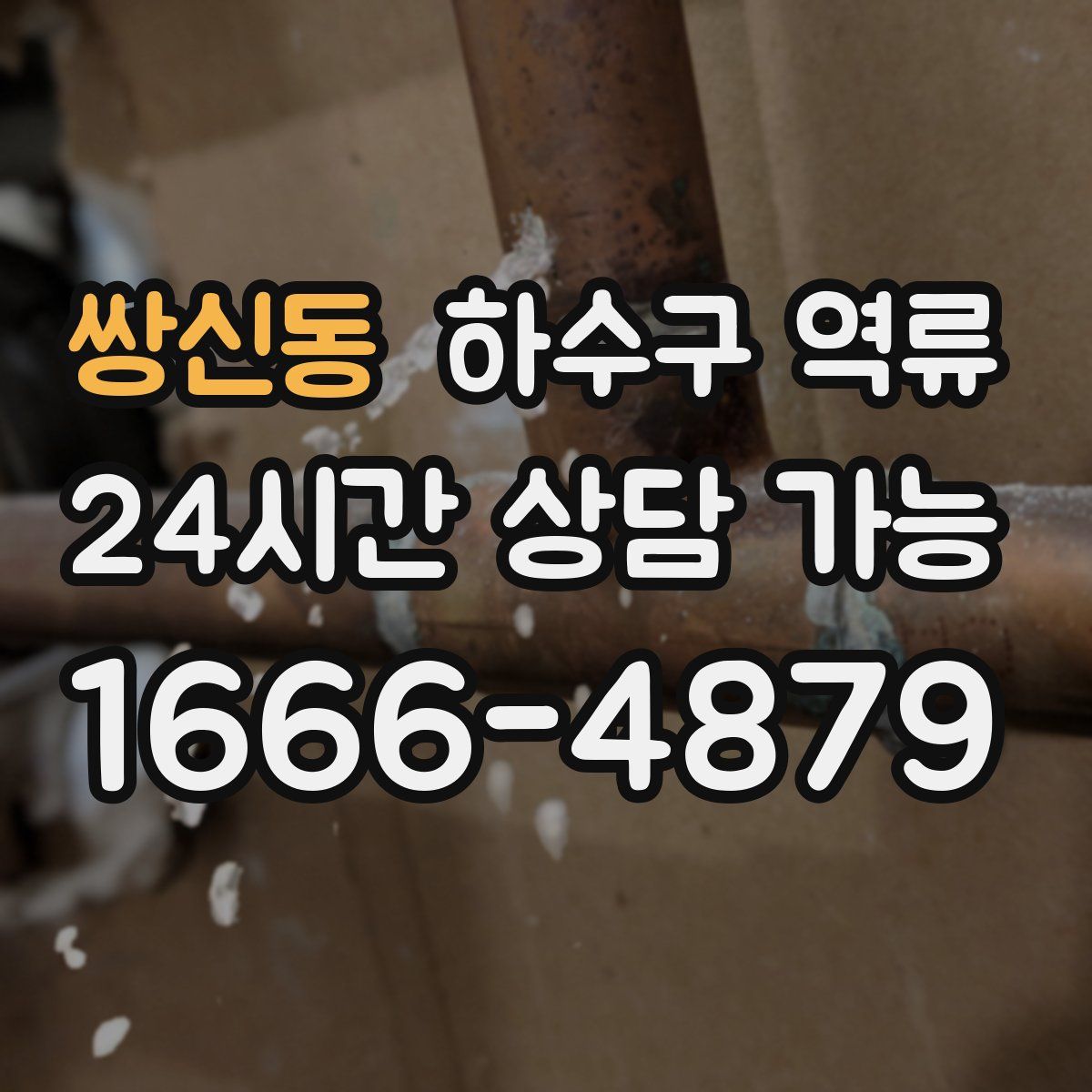 쌍신동 하수구 역류