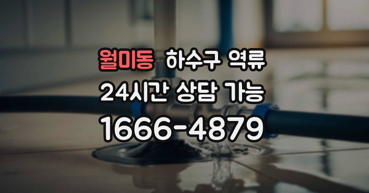 월미동 하수구 역류