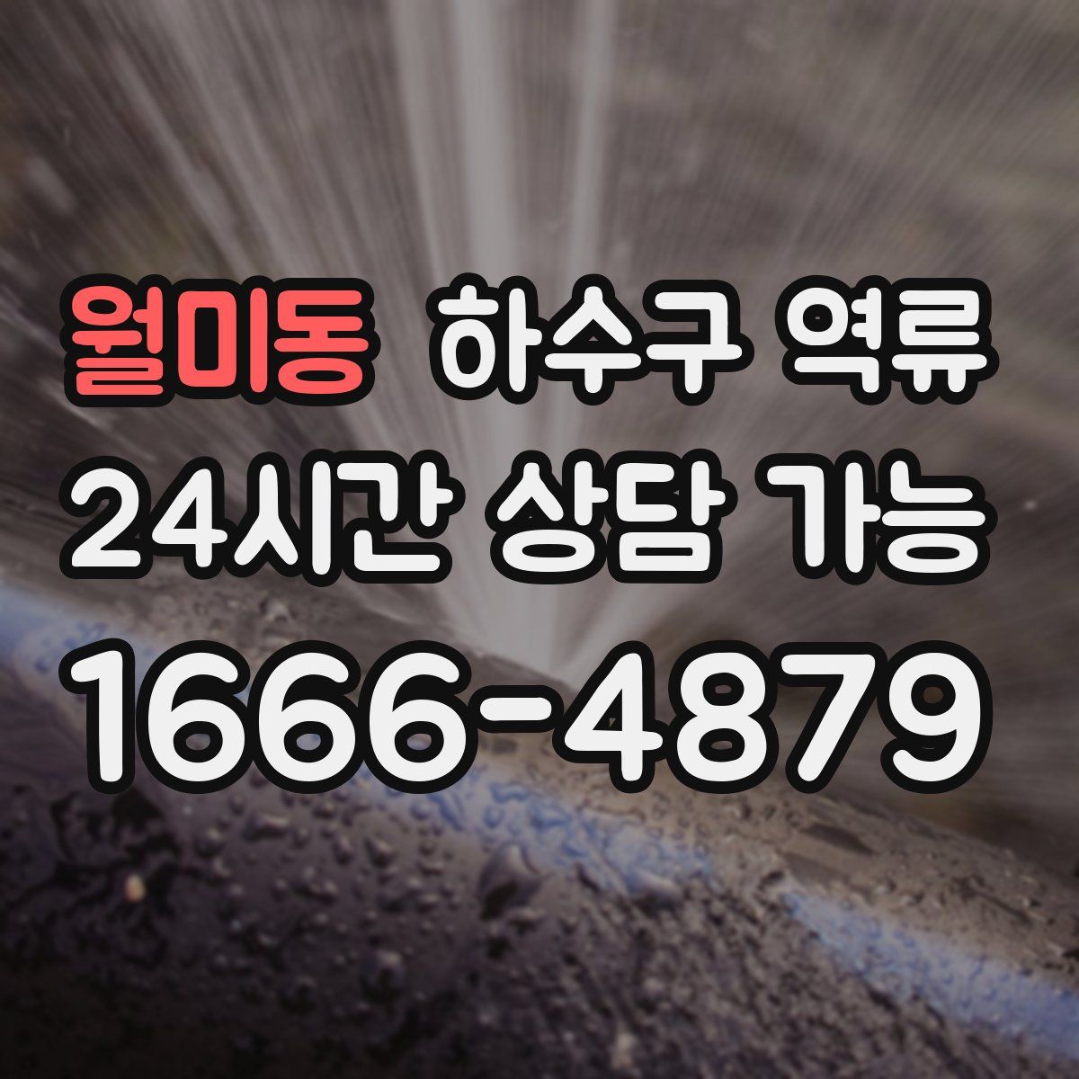 월미동 하수구 역류