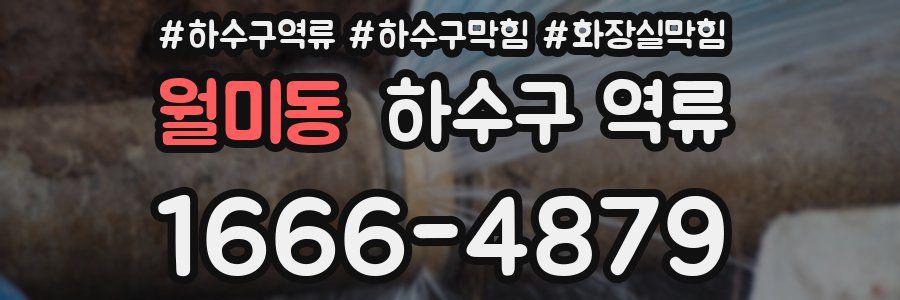 월미동 하수구 역류