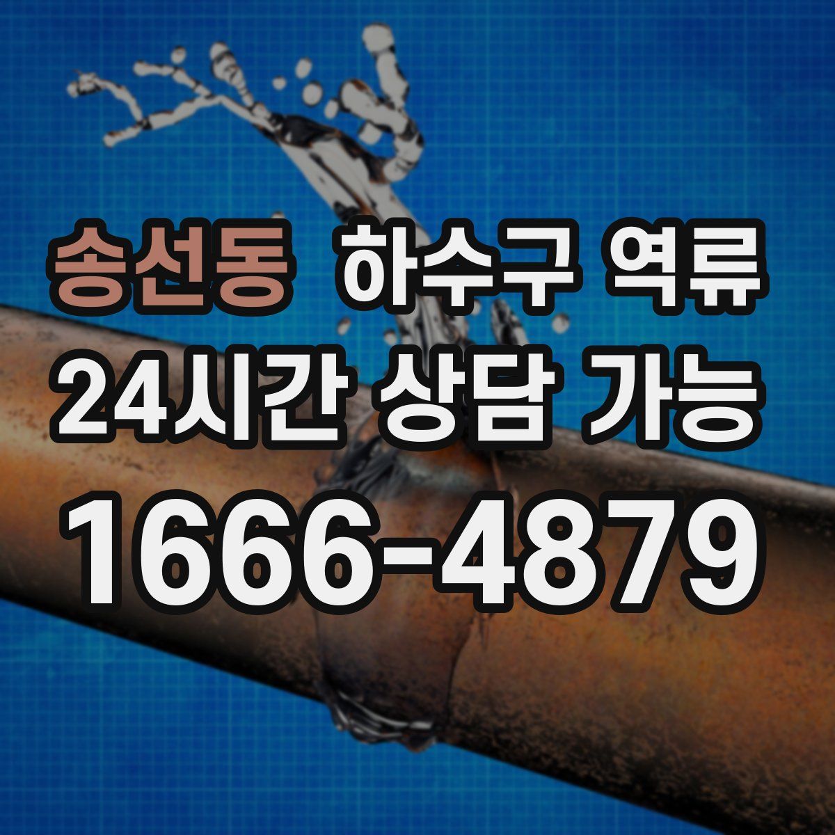 송선동 하수구 역류