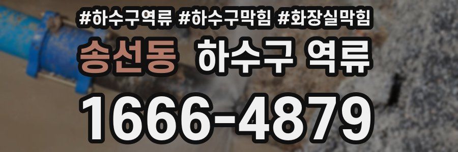 송선동 하수구 역류