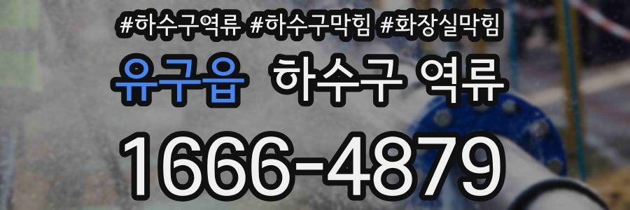 유구읍 하수구 역류
