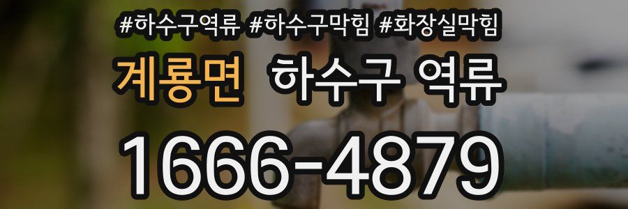 계룡면 하수구 역류