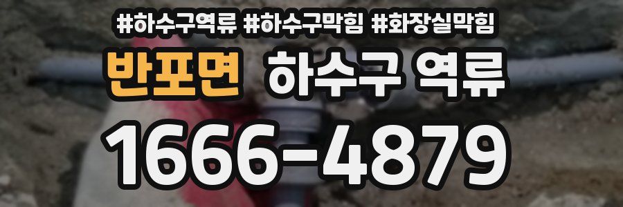 반포면 하수구 역류