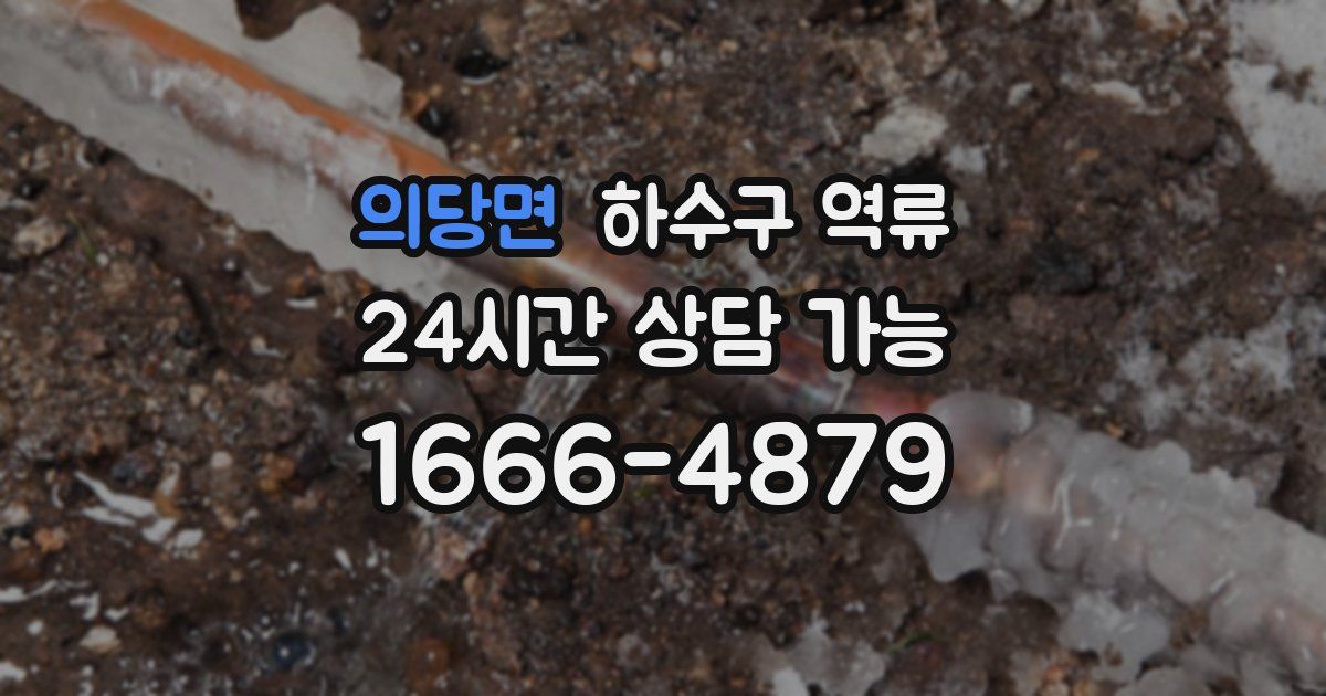 의당면 하수구 역류