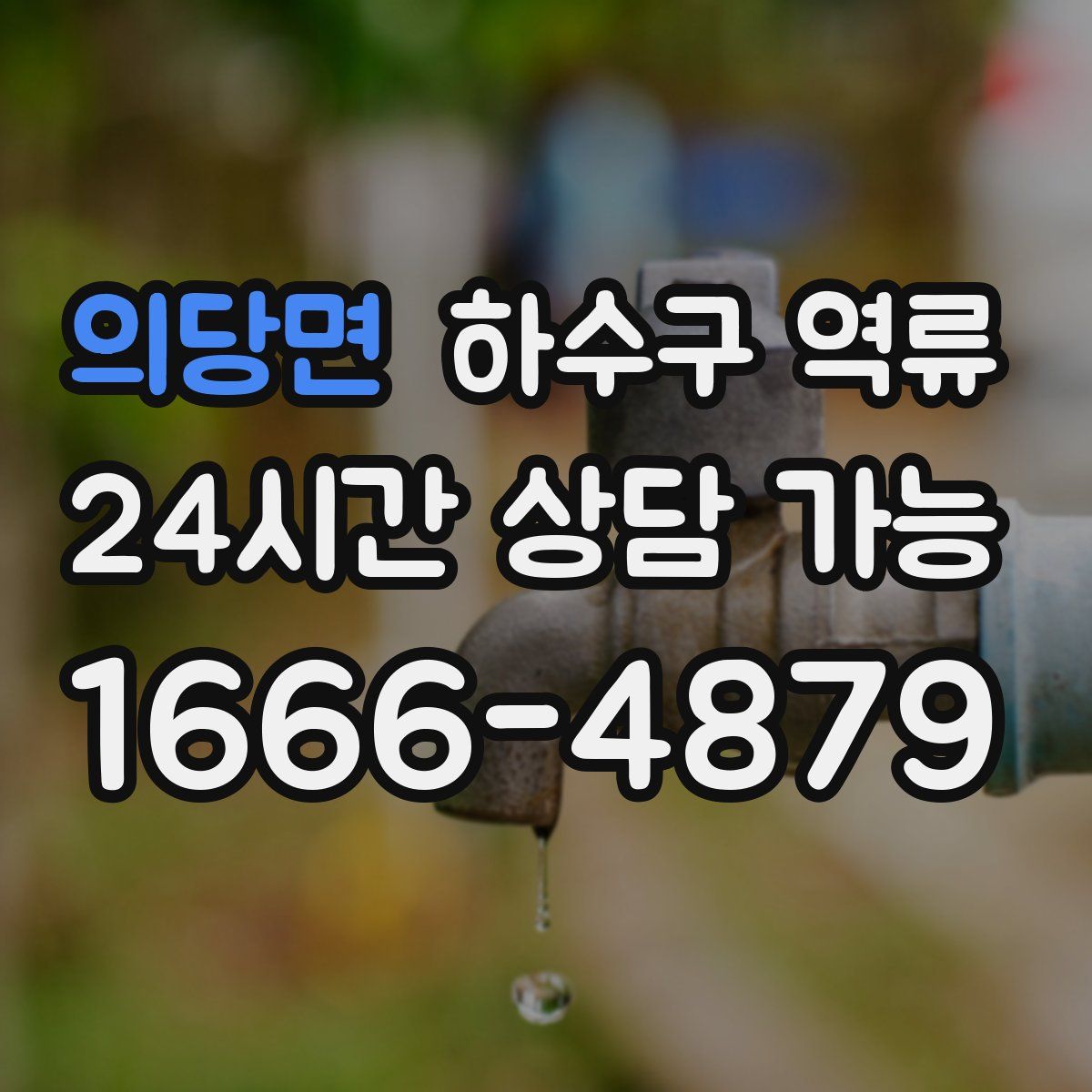 의당면 하수구 역류