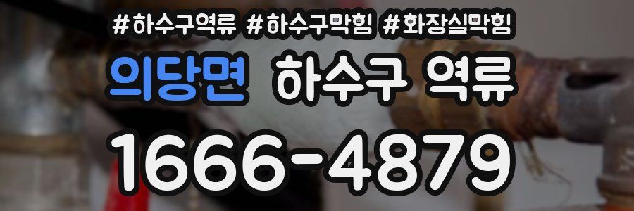 의당면 하수구 역류