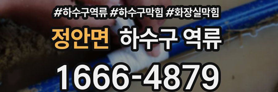 정안면 하수구 역류