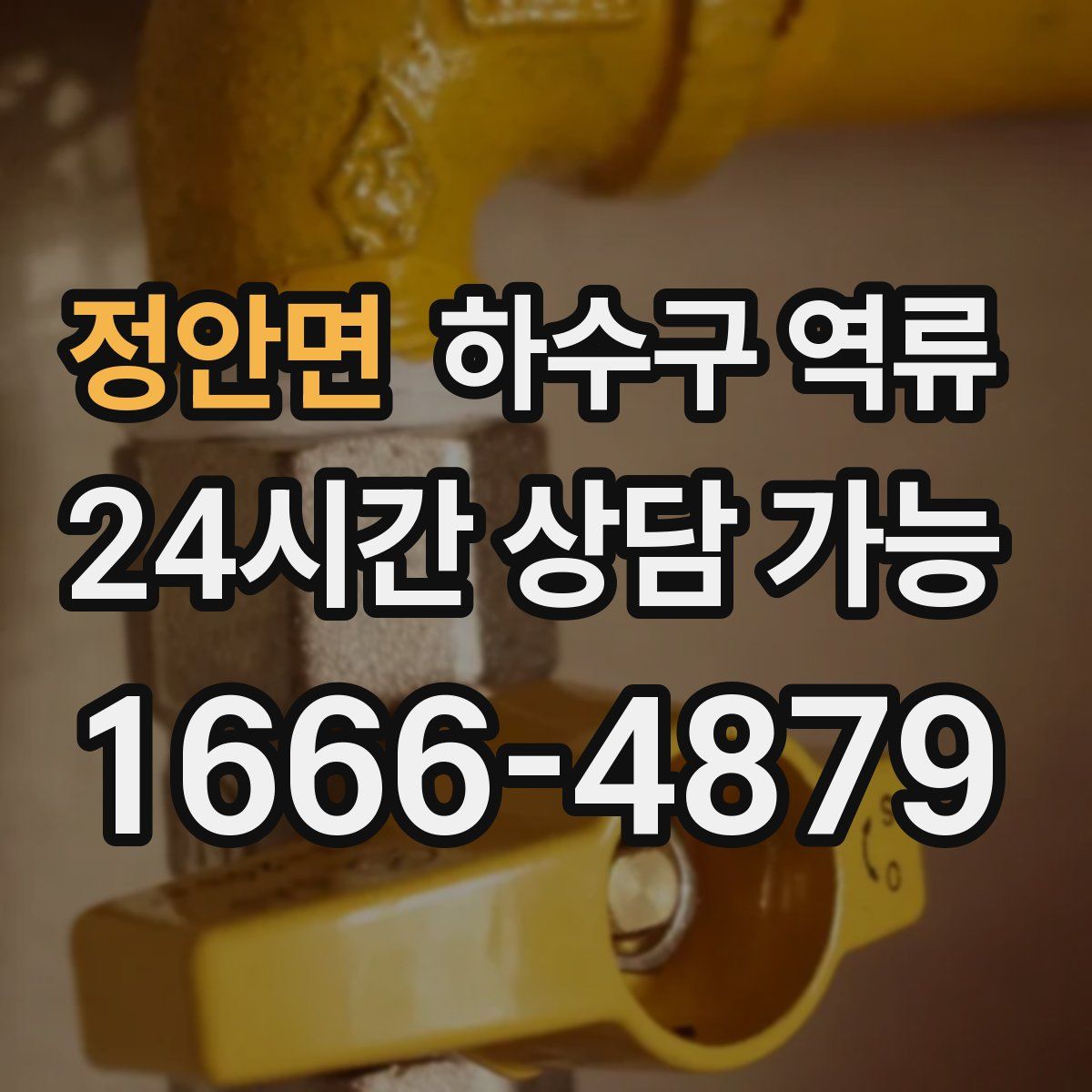 정안면 하수구 역류