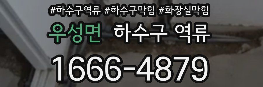 우성면 하수구 역류