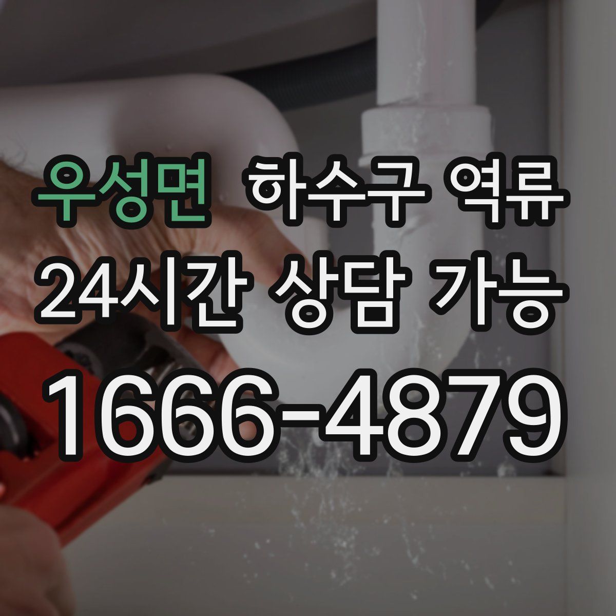 우성면 하수구 역류