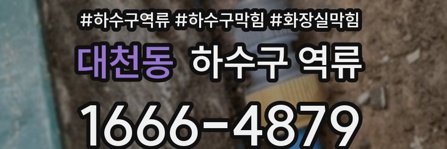 대천동 하수구 역류