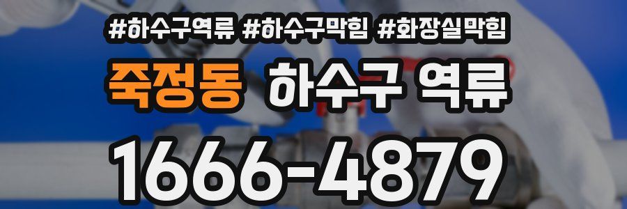 죽정동 하수구 역류