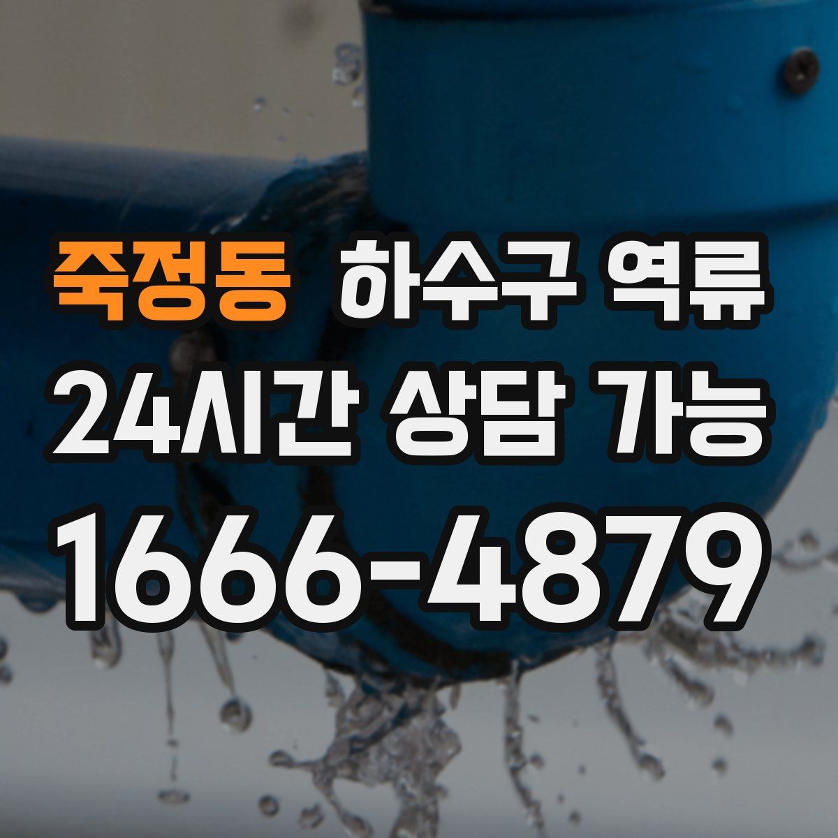 죽정동 하수구 역류