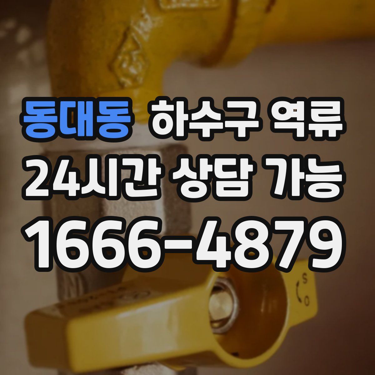 동대동 하수구 역류