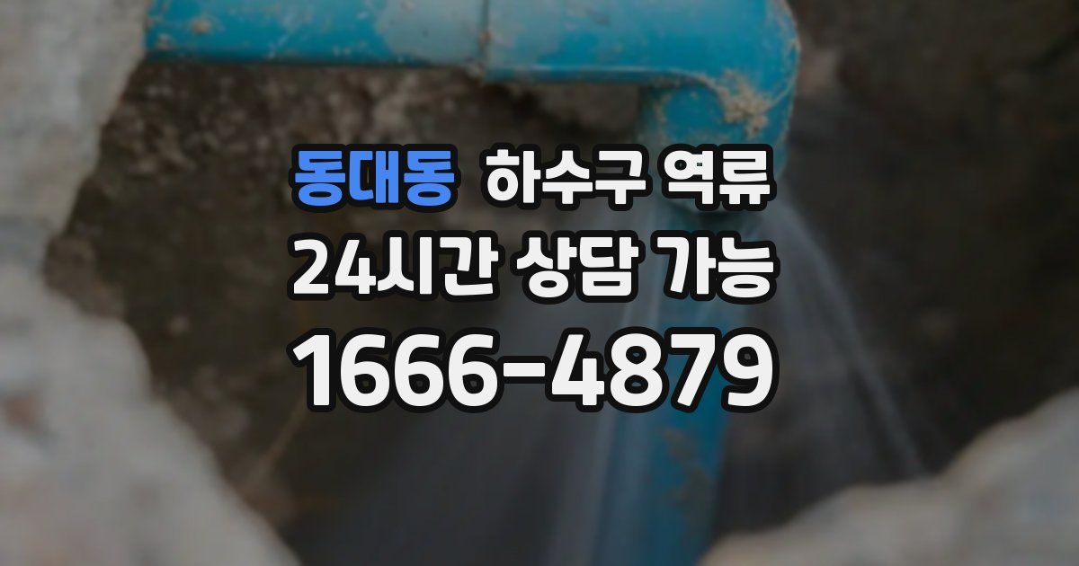 동대동 하수구 역류