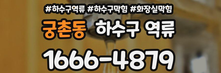 궁촌동 하수구 역류