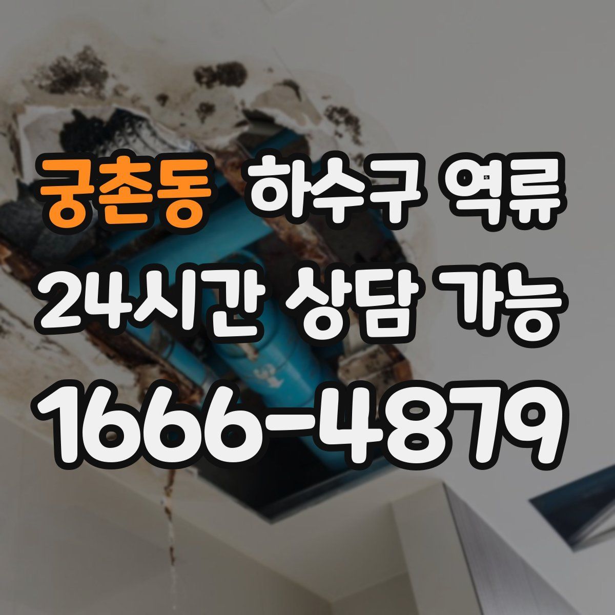 궁촌동 하수구 역류