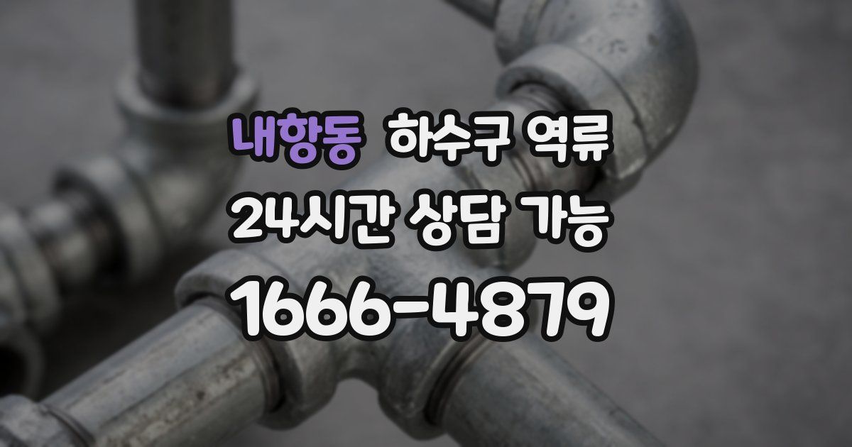 내항동 하수구 역류