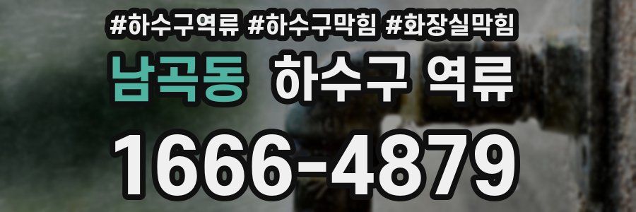 남곡동 하수구 역류