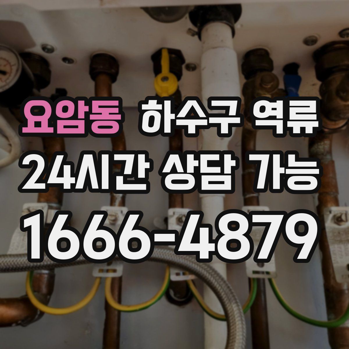 요암동 하수구 역류