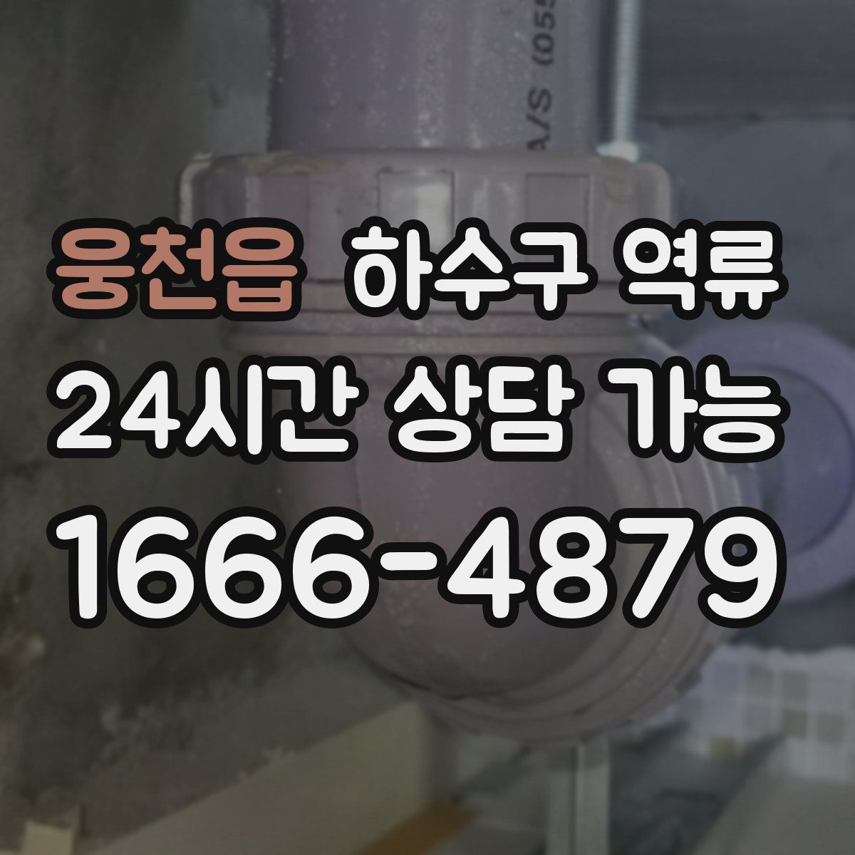 웅천읍 하수구 역류