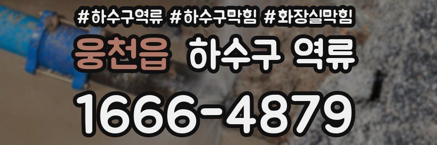 웅천읍 하수구 역류