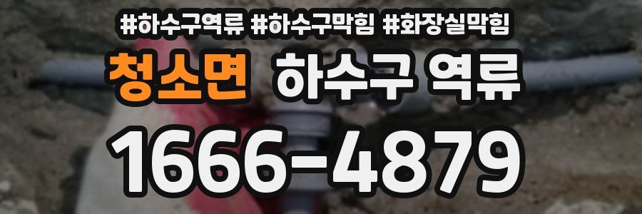 청소면 하수구 역류